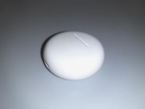 WHITE EARPODS IN CASE